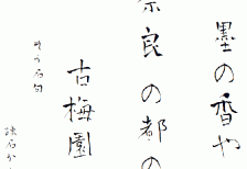 書道家が書いた和の雰囲気漂う日本語フォント「青柳疎石フォント」