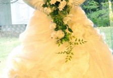 free_bridal_photo_wedding_dress