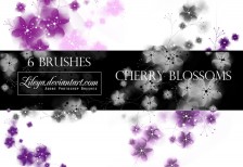 free_cherry_blossoms_ps_brushes