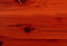 クッキリとした赤みがかった木目が美しい杉の木のテクスチャー素材