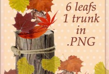 秋の落ち葉と木の幹をテーマにした切り抜き済み画像素材集