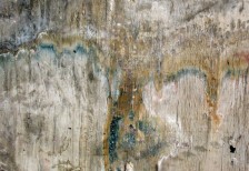 free-texture-old-grungy-tile