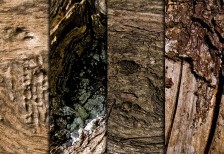 樹齢を重ねた木肌の節や木目の質感をクッキリと撮影したテクスチャー4枚セット
