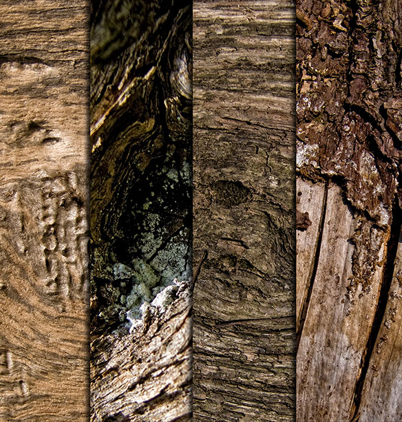 樹齢を重ねた木肌の節や木目の質感をクッキリと撮影したテクスチャー4枚セット