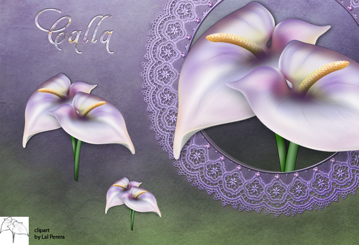 紫のグラデーションがきれいなオランダカイウの花のアイコン素材