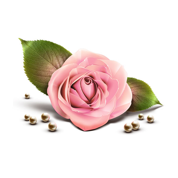ピンク色がかわいいバラの花のイラストアイコン。影や照り返しまでリアル。