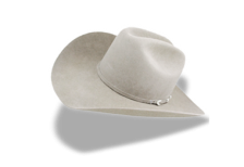free-icon-white-cowboy-hat