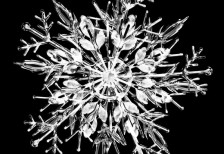 木の枝のように広がる氷の形が繊細で綺麗な雪の結晶の写真素材