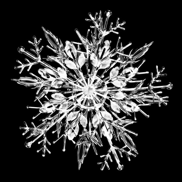 木の枝のように広がる氷の形が繊細で綺麗な雪の結晶の写真素材