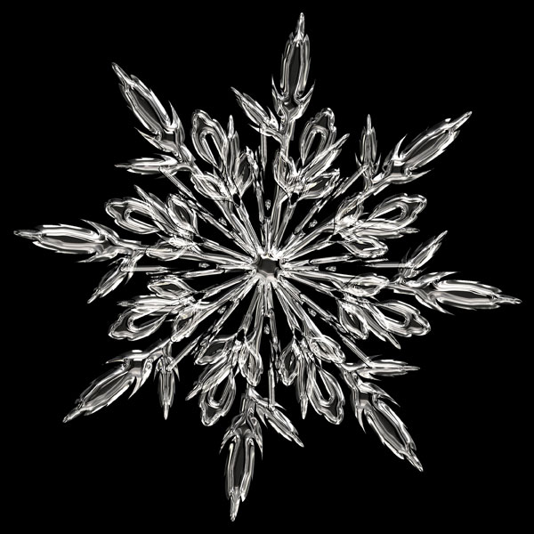 ガラス細工のような雪の結晶を撮影したきれいな写真素材