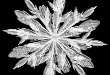 綺麗な幾何学模様をくっきりと写し出した雪の結晶の写真素材