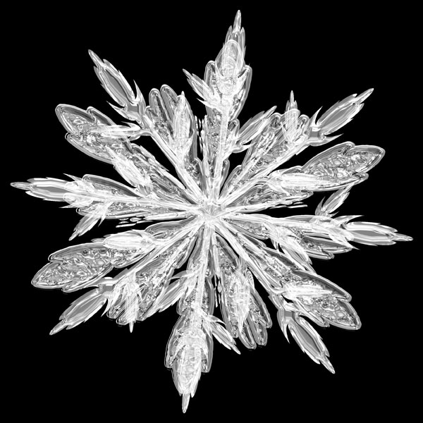 綺麗な幾何学模様をくっきりと写し出した雪の結晶の写真素材