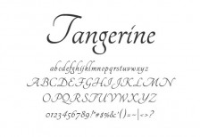 free-font-elegant-calligraphy-tangerine