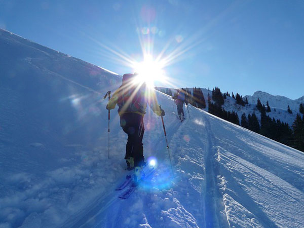 スキーを履いて雪山を登るところを撮影した写真素材。澄み切った青空に輝く太陽の逆光が綺麗。