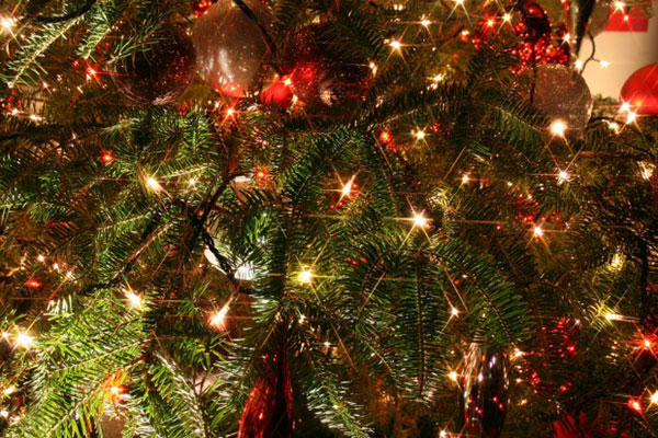 クロスフィルターの輝きがきれいな恵比寿ガーデンプレイスのクリスマスイルミネーション