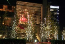 丸の内のビル街のクリスマスイルミネーションを撮影した写真素材