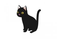 黒猫を描いたイラスト。真っ黒の毛並みにクリっとした瞳がかわいい雰囲気
