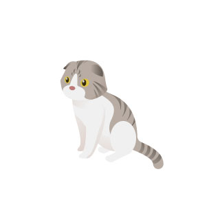 かわいい猫のイラスト。白とグレーの縞柄がきれいなスコティッシュフォールド