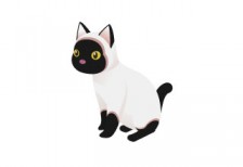 かわいいシャム猫のイラスト。白と黒のコントラスがきれい