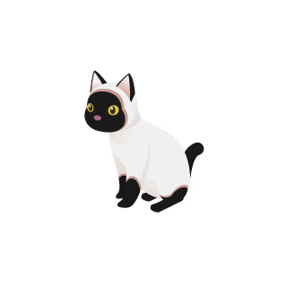 フリー素材 かわいいシャム猫のイラスト 白と黒のコントラスがきれい
