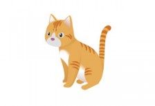 free-illustration-cute-chatora-cat