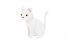 free-illustration-cute-white-cat