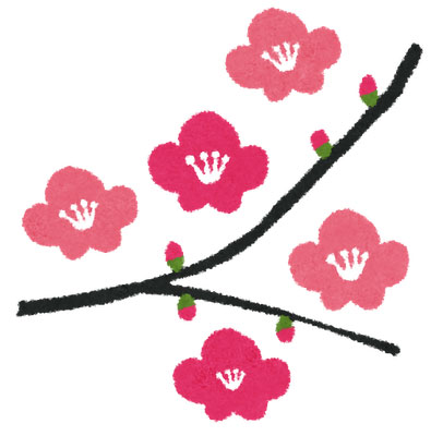フリー素材 春らしい梅の花のイラスト 花びらや枝についたツボミがかわいい和風デザイン