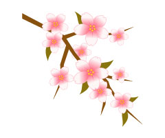 フリー素材 ソメイヨシノの木に5輪の花が咲いた桜の開花のイラスト