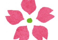 free-illustration-japanese-sakura-flower