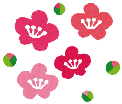 無料素材 梅の花とつぼみのイラスト デフォルメされたかわいいデザイン