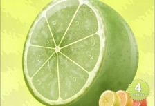 free-fruit-icons-limon-lharboe