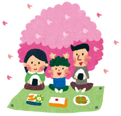 家族でするお花見のイラスト素材。満開の桜やレジャーシートにお弁当など。