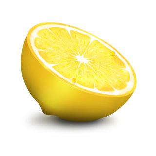 二つに切ったレモンを描いたリアルなイラストアイコン