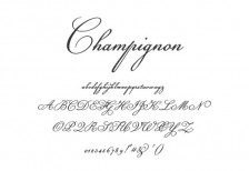 free-calligraphic-font-champignon