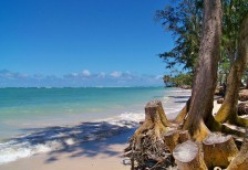 ハワイの海岸を撮影したフリー写真素材。ゴールデンウィークの海外旅行のデザインなどに。