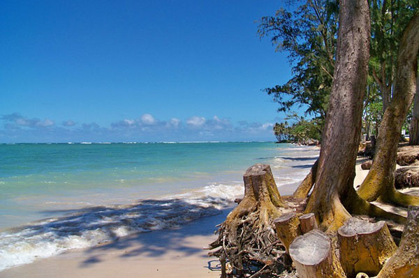 フリー素材 ハワイの小島を上から撮影したフリー写真素材 グリーンのヤシの木と海が綺麗