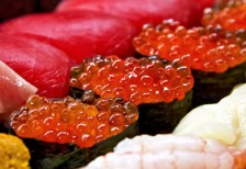 お寿司をアップで撮影したフリー写真素材。イクラ・マグロ・海老など。
