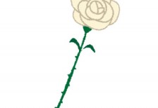 一輪の白い薔薇を描いたイラスト。父の日のデザインに。