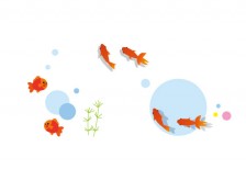 free-illustration-goldfish