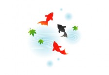 赤と黒の金魚を描いたイラスト。優雅に泳ぐ姿が綺麗。
