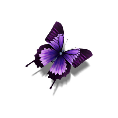 フリー素材 美しい紫色をした蝶を描いたフリーイラストアイコン 綺麗で繊細なデザインに