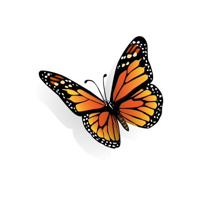 無料素材 細かい羽の模様を繊細な書き込みと綺麗なグラデーションで描いた蝶のイラストアイコン