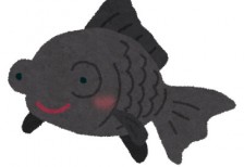 free-illustration-fish-demekin