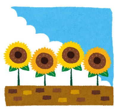 フリー素材 夏らしい向日葵の花を描いたイラスト 暑中見舞いのデザインに