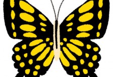 アゲハ蝶を描いたフリーイラスト。黄色と黒のコントラストが綺麗。