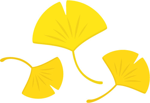 無料素材 黄色く色づいたイチョウの葉を描いたイラスト 秋の紅葉のデザインに