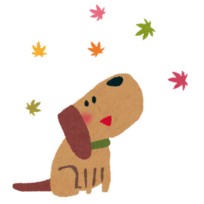 紅葉した落ち葉を楽しそうに見つめる犬を描いたかわいいイラスト