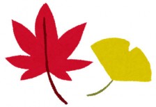 赤いモミジと黄色いイチョウを描いたイラスト。秋の紅葉のデザインに。