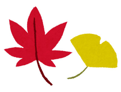 赤いモミジと黄色いイチョウを描いたイラスト。秋の紅葉のデザインに。
