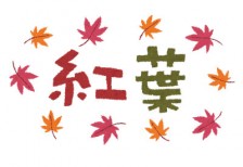 秋のデザインにぴったりな「紅葉」のタイトル文字のイラスト